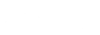 Donkey
